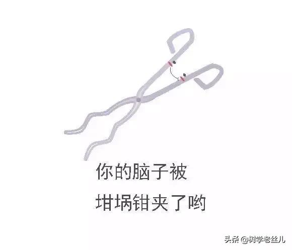 һѱ_ʼJRW(xu)x10ӛЃx÷
